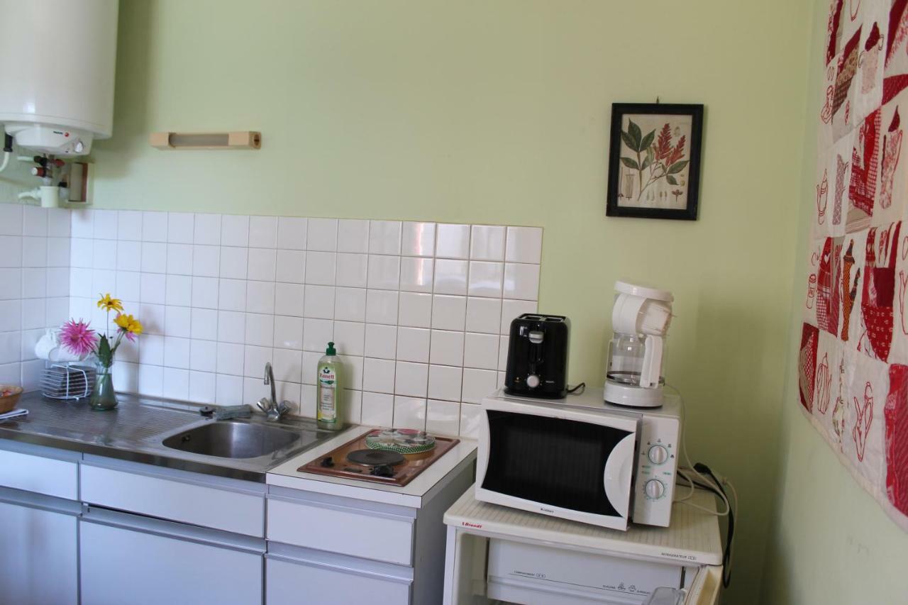 Appartement Val De Saone Seurre Екстериор снимка